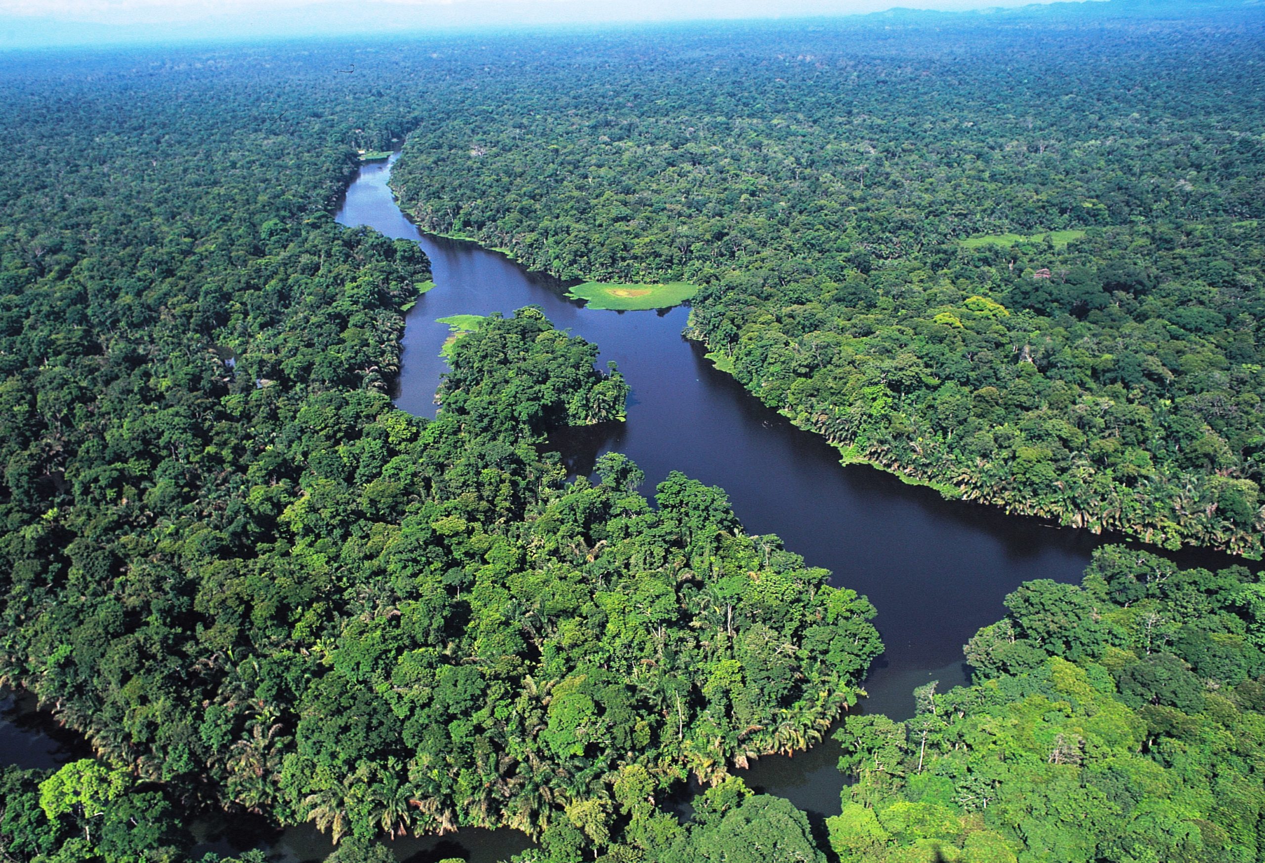 Tortuguero rivers and jungle 2 scaled