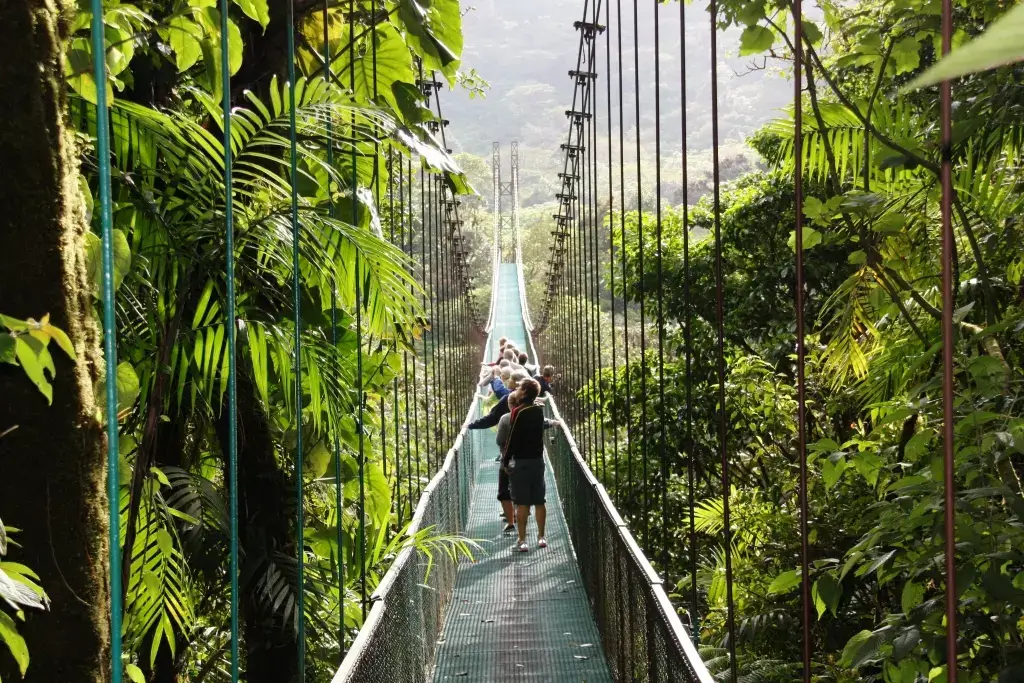 suspension bridge Monteverde