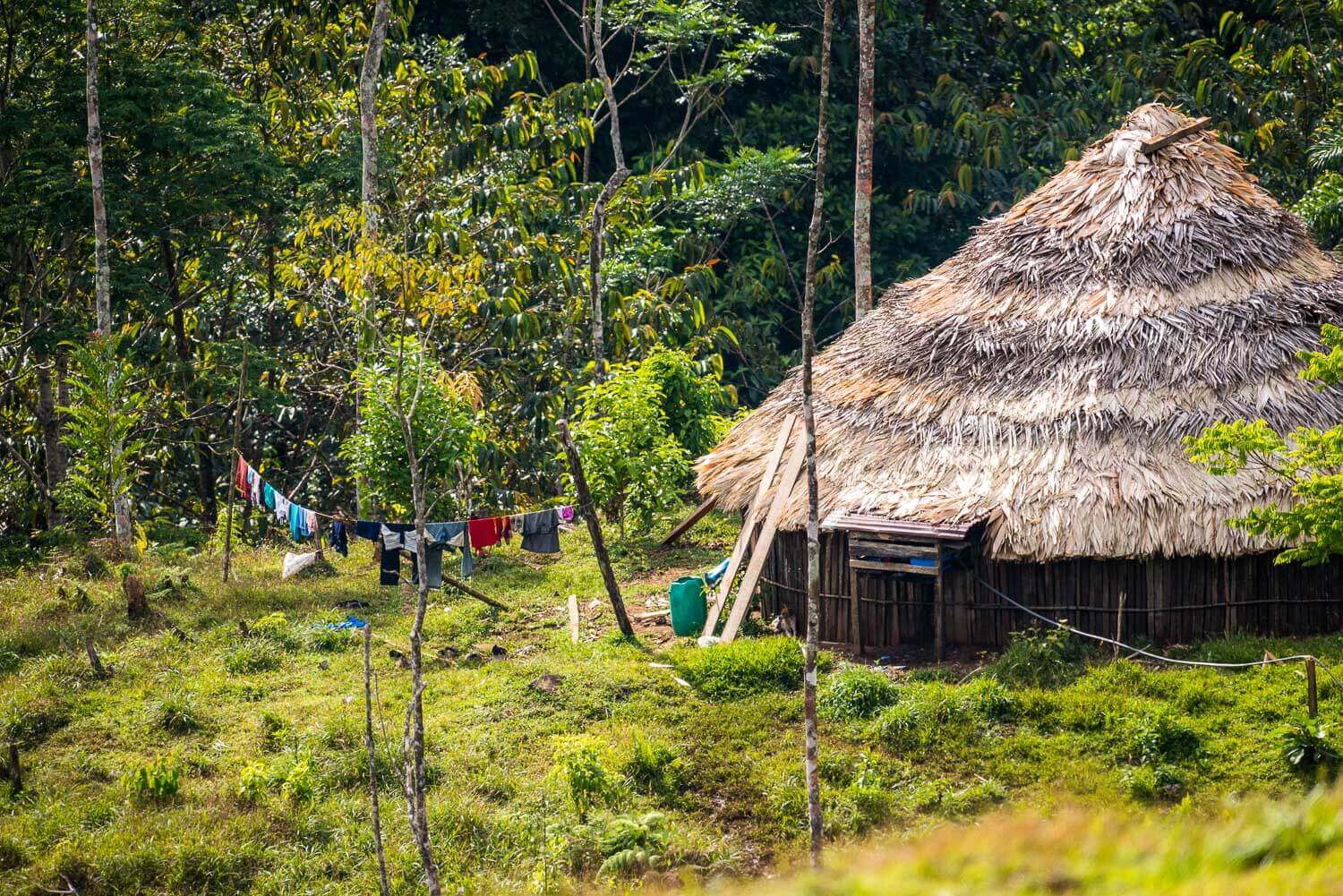 The Cabecar Indians houses are beautifully built with wood and palm leaf roofs in the middle of lush nature