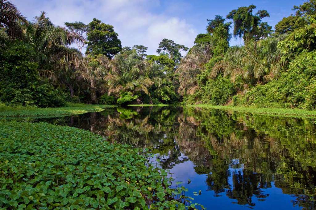 Tortugueros beautiful rivers