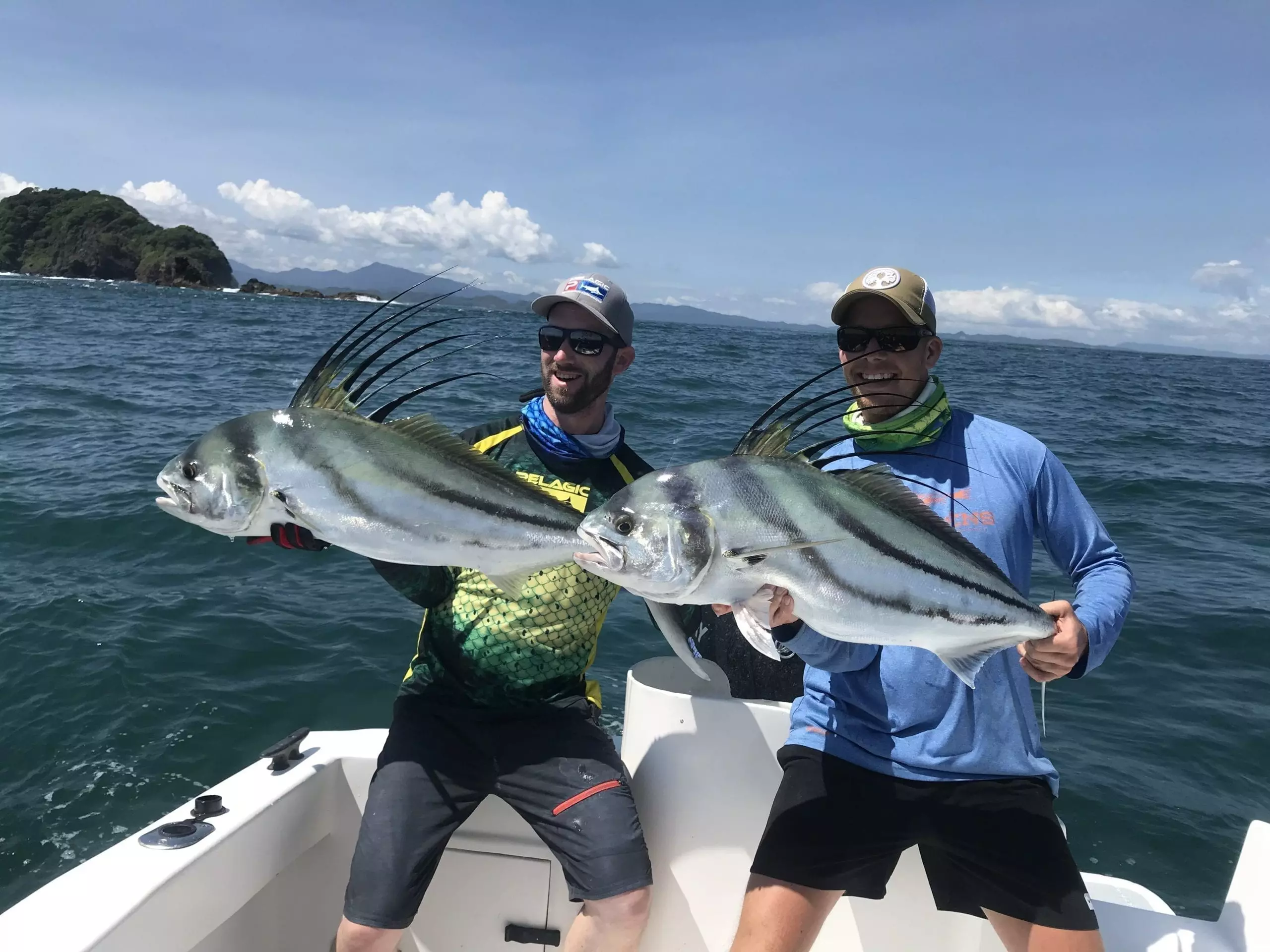double Roosterfish