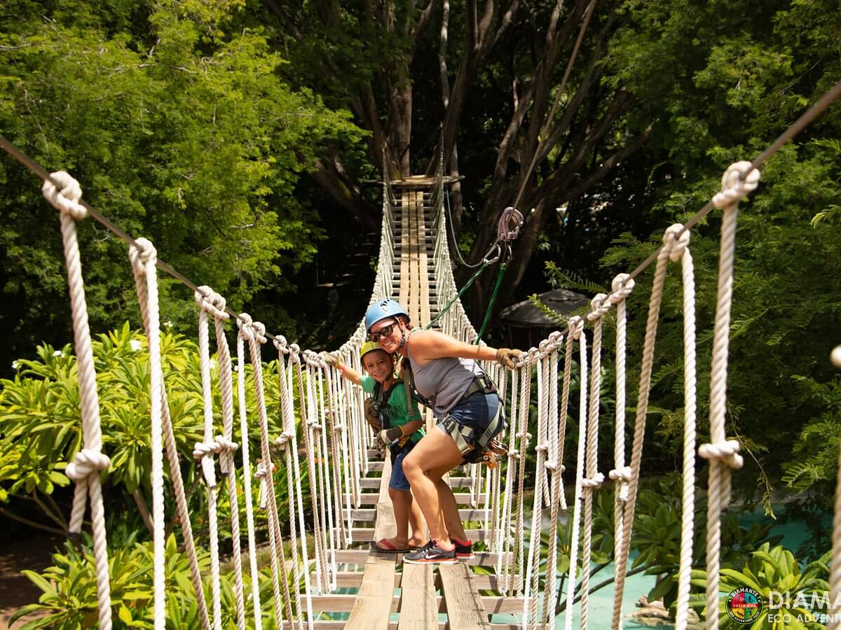 hanging bridge over crocodiles