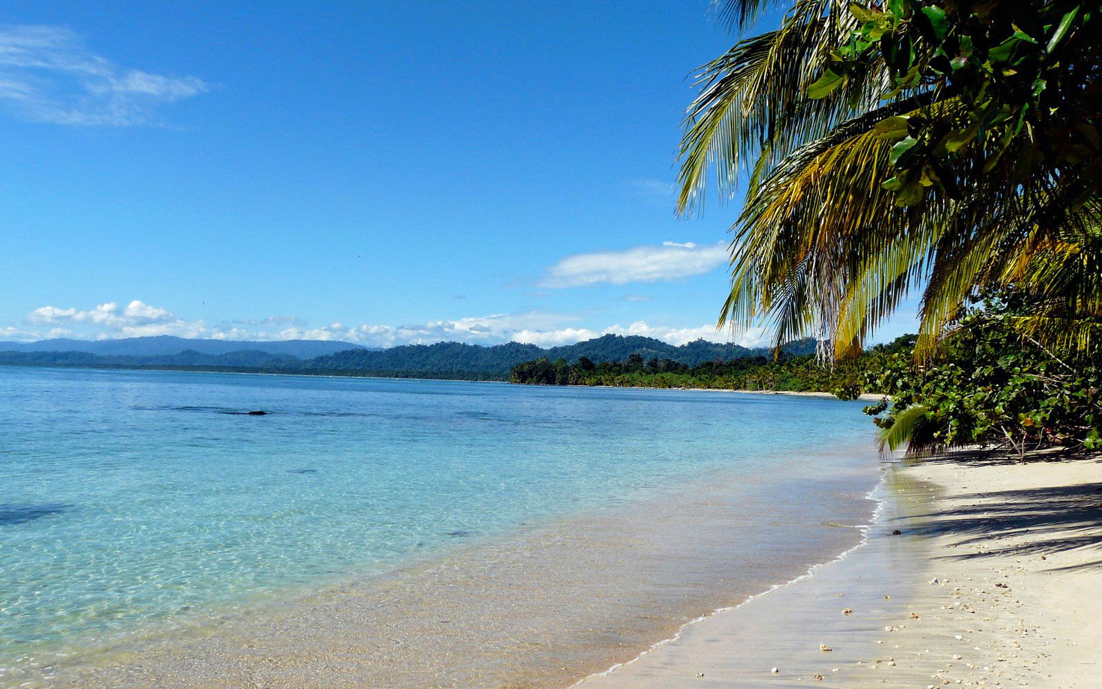 cahuita playa blanca