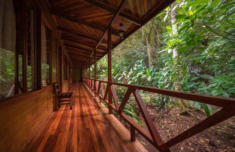 Jaguarundi Hotel