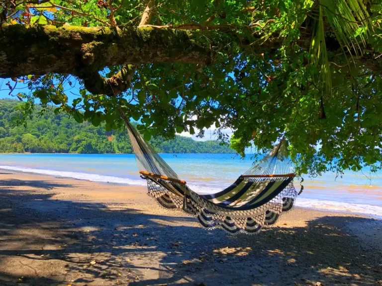 Playa Cativo Lodge beach