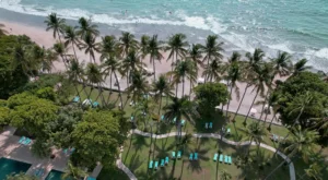 Diria Tamarindo