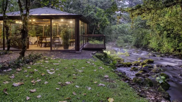 El Silencio Lodge djungelmiddag