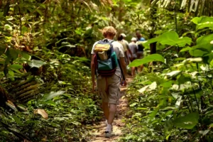 Vandring regnskog Costa Rica