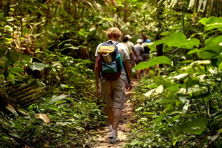 Vandring regnskog Costa Rica