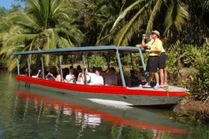Isla Damas Mangrove Boat Tour, båttur safari