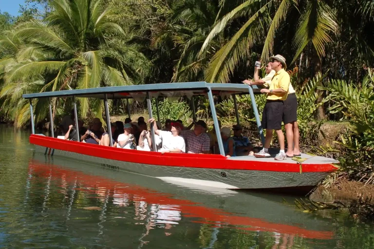 Isla Damas Mangrove Boat Tour, båttur safari