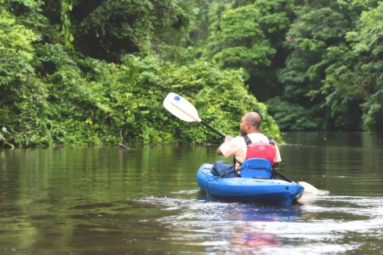 Kajak båt mangrove Tortuguero