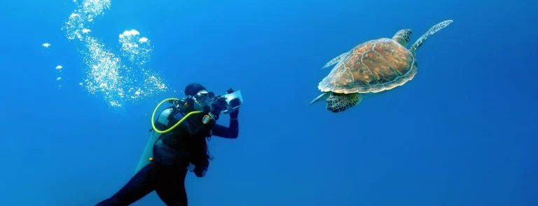Scuba Diving sköldpadda dykning Costa Rica hav