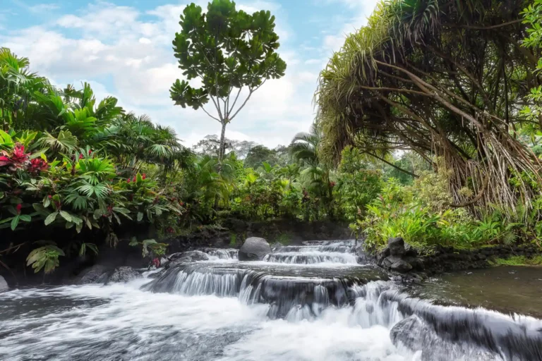 Tabacon hot spring, varma källor
