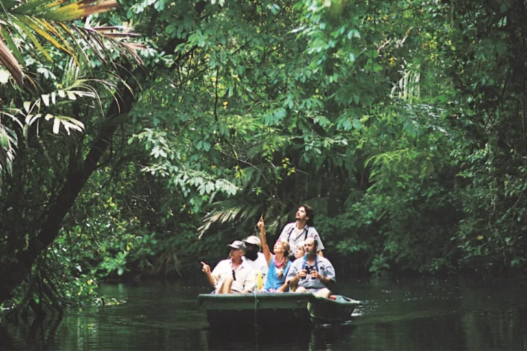Tortuguero båttur mangrove regnskog