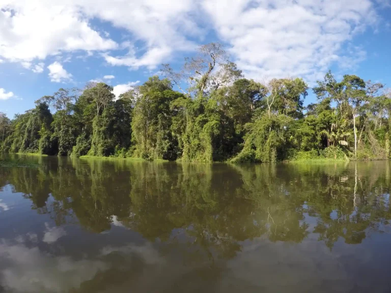 Tortuguero nationalpark flodbåt regnskog