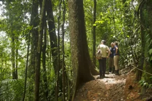 Cabécar Indigenous Hike, vandring kultur