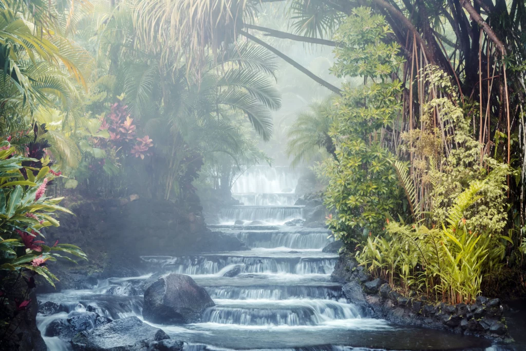 Hot springs Arenal, varma källor