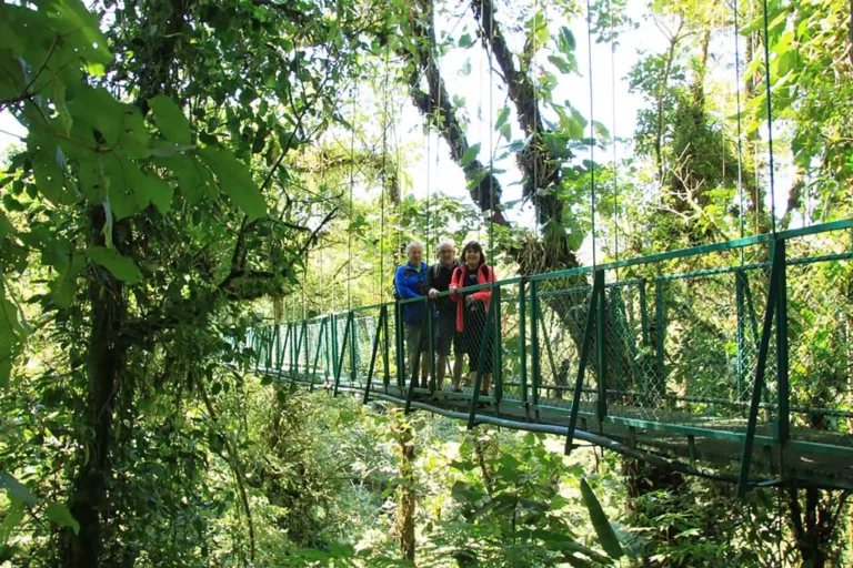 Hanging Bridge, hängbro vandring