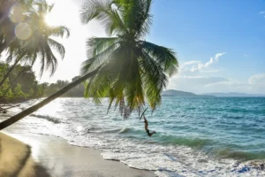 Puerto Viejo beach Punta Uva strand palm