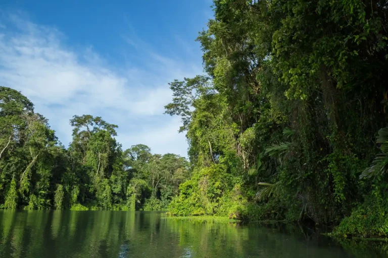 Tortuguero, flod