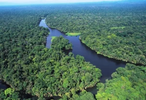 Tortuguero flod