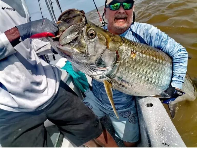 Tarpon fish, fiske Costa Rica