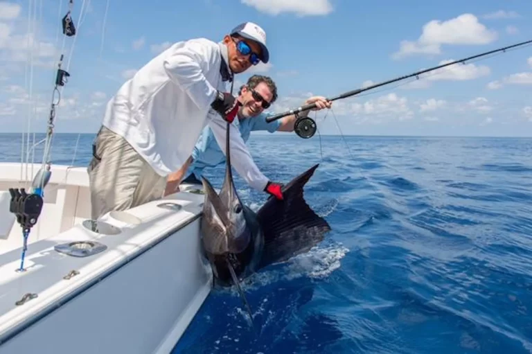 Sailfish Gamfisher II, fiske fisk