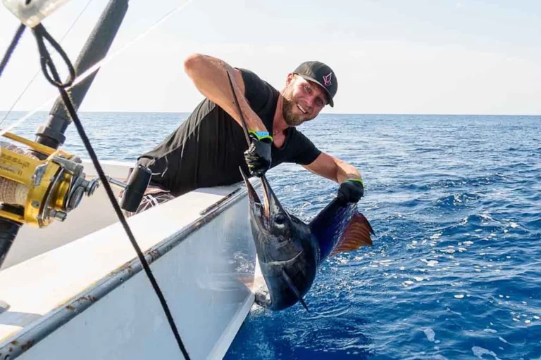 Sailfish, fiske fisk