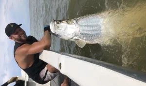 Tarpon Fish, fiske Costa Rica