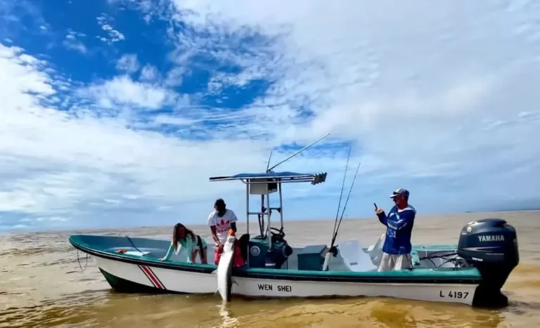 Tarpon fishing boat, båt, fiske Costa Rica